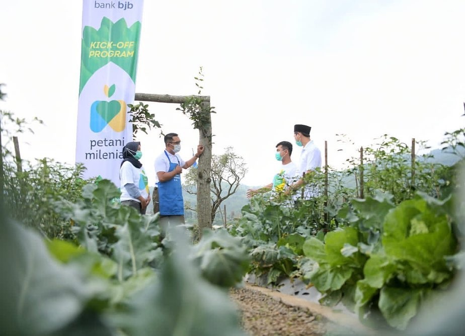 Program Petani Milenial Gagasan Ridwan Kamil Hasilkan Panen Melimpah