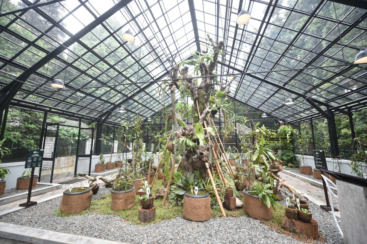 Pertamina - LIPI Wujudkan Wisata Alam & Lestarikan Flora di Kebun Raya Bogor