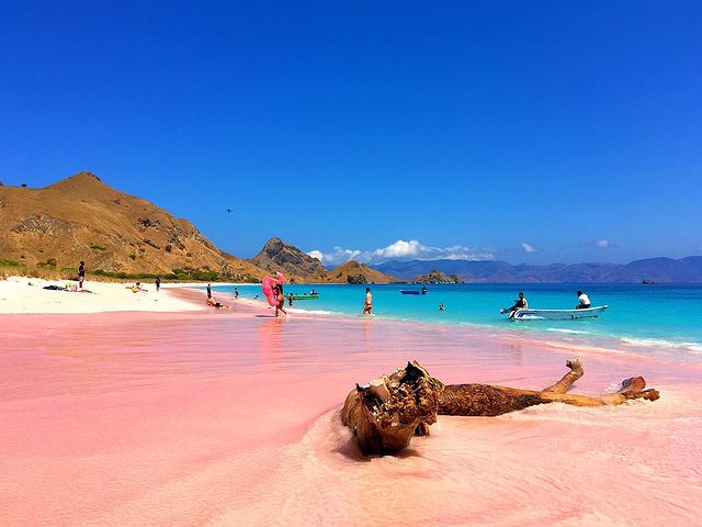 Pantai Merah Jambu, Wisata Unik di Pulau Lombok