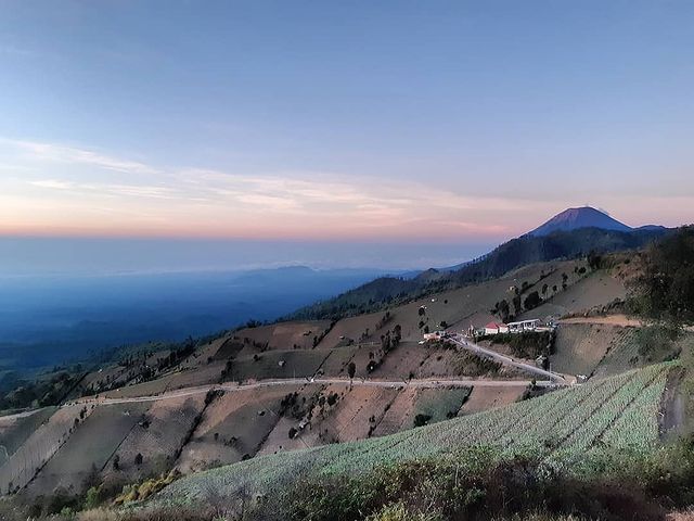 Menikmati ‘Lukisan’ Hidup dari Negeri di Atas Awan