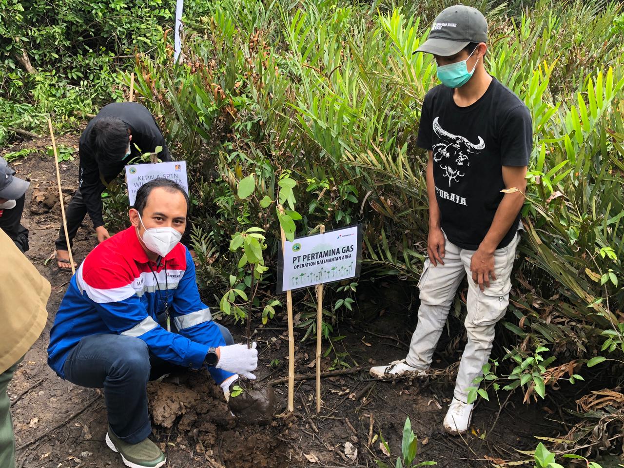 Pertagas Dukung Pelestarian Ekosistem Mangrove