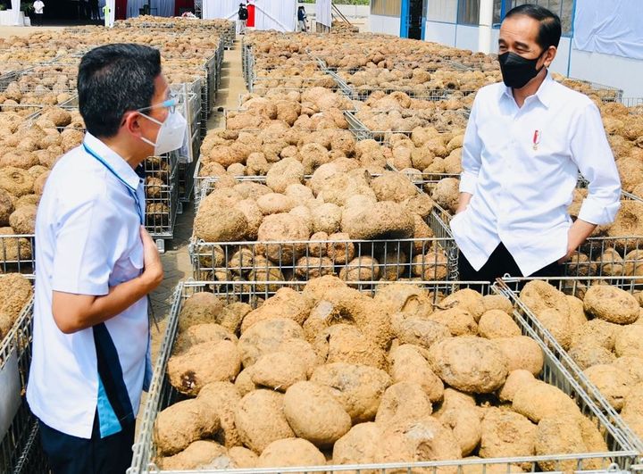 Jokowi Apresiasi Vaksinasi Jemput Bola di Jatim
