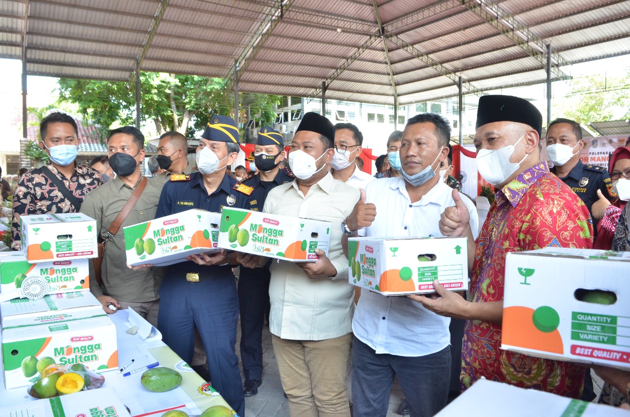 Gresik Ekspor Satu Ton “Mangga Sultan” ke Singapura