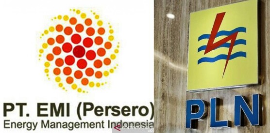 Akuisisi EMI,  PLN Akan Percepat Transisi Energi Bersih