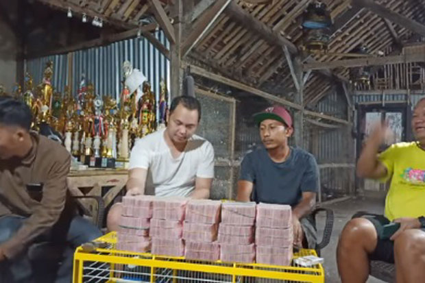 Jaguar, Merpati Jawara yang Laku hingga Rp 1,5 Miliar