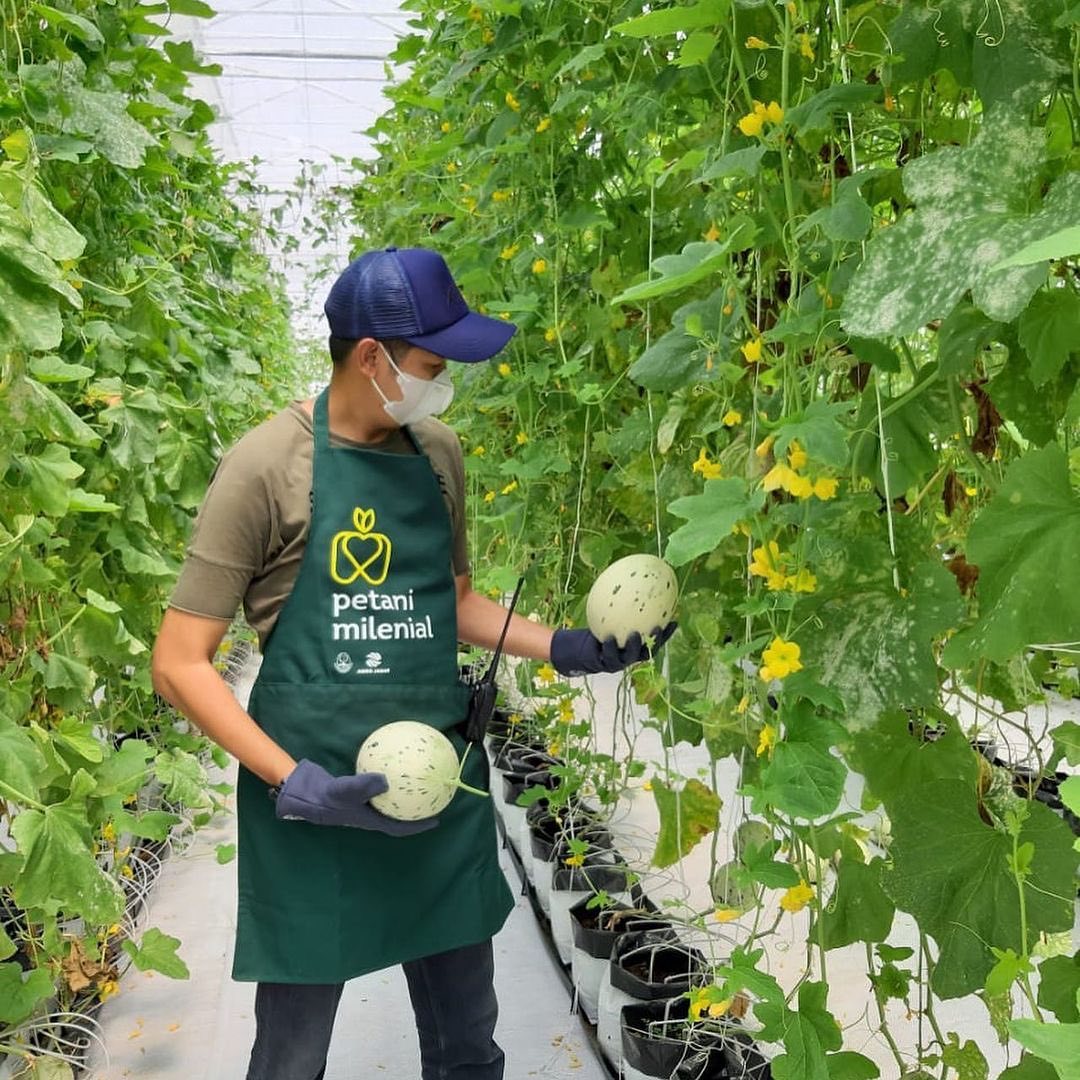 Targetkan 5.000 Petani Milenial, Pemprov Jawa Barat Gencar Sosialisasi di 18 Kabupaten/Kota