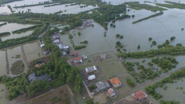 Dampak Karbon: 400 Hektar Tanah di Bekasi Tenggelam Jadi Lautan