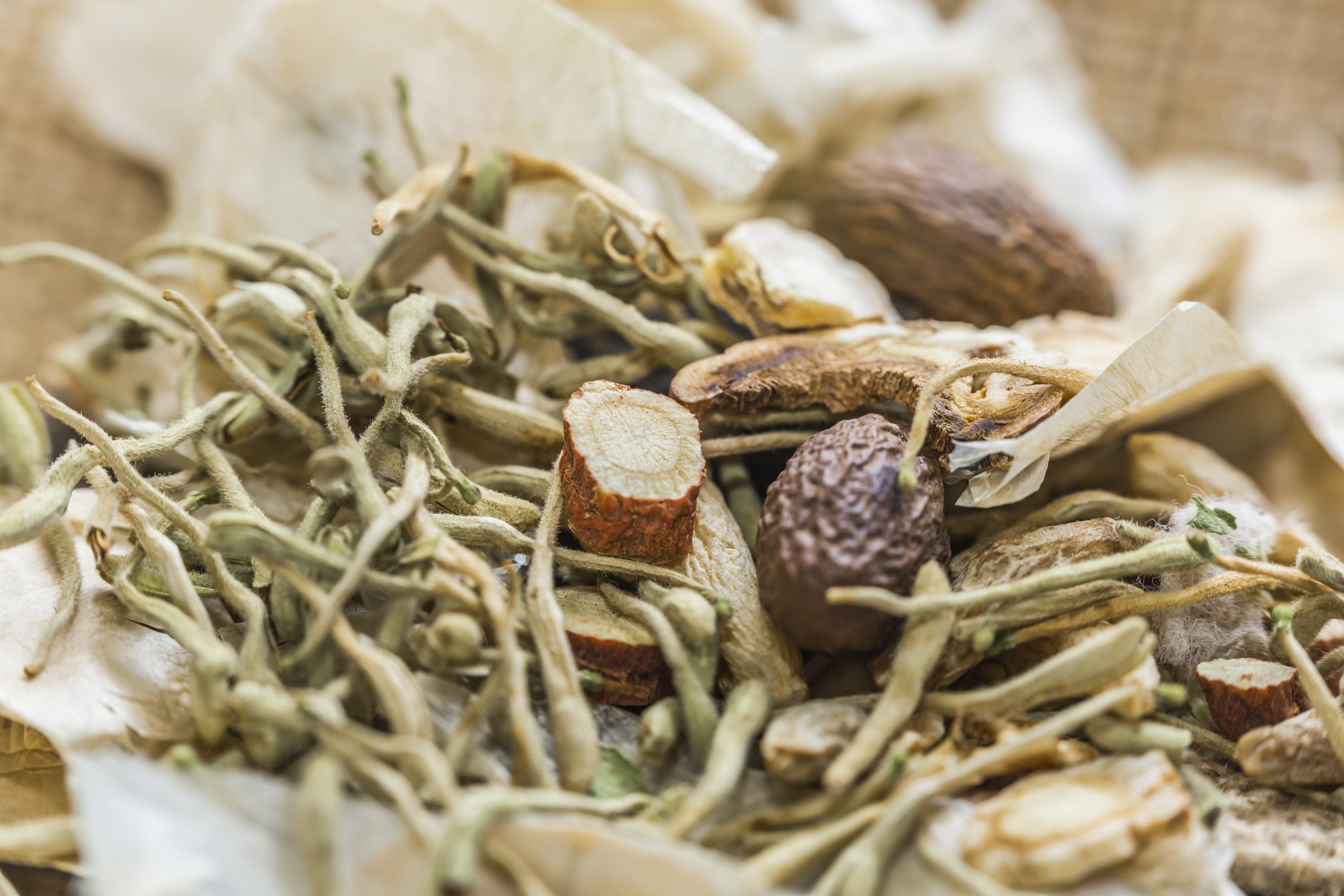 Ginseng untuk Tingkatkan Energi hingga Turunkan Gula Darah