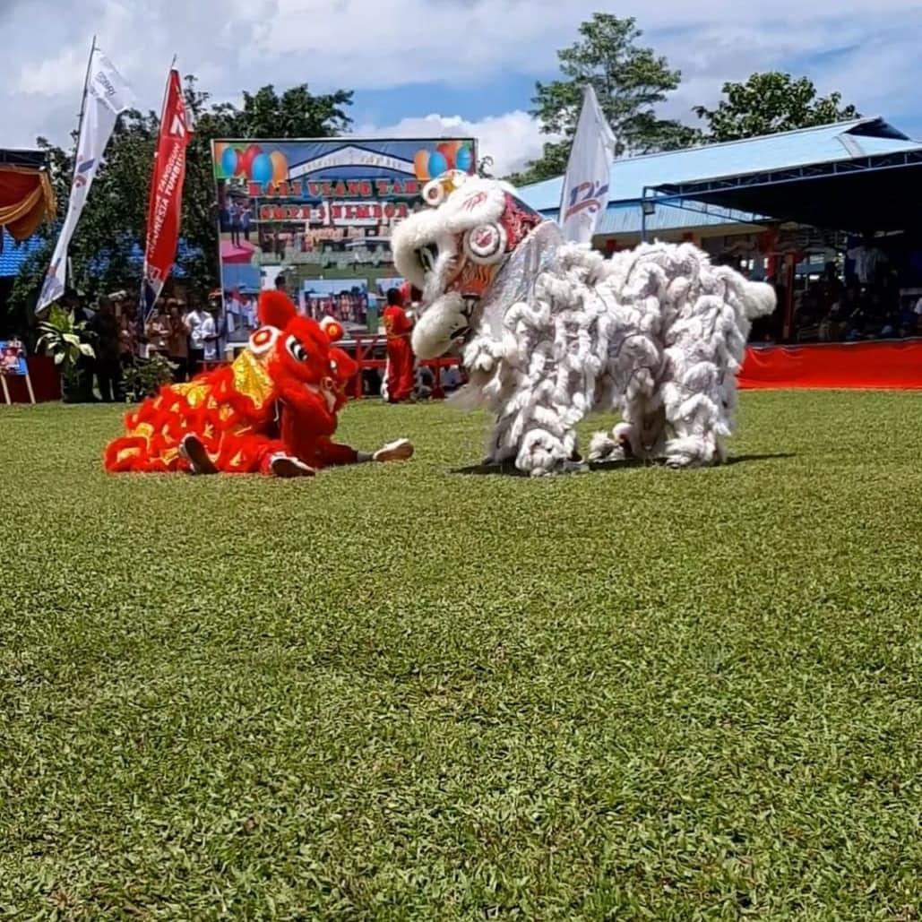 Olahraga Barongsai