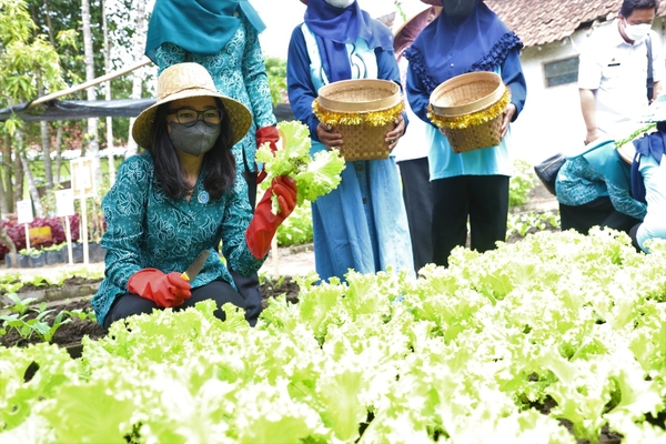 Dorong Ekonomi Warga, Pemkab Kediri Inisiasi Program Pekarangan Pangan Lestari