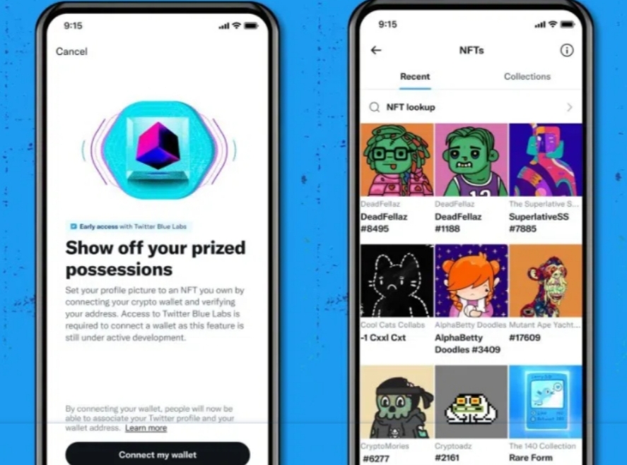Twitter Hadirkan Fitur Pasang Aset NFT Sebagai Foto Profil