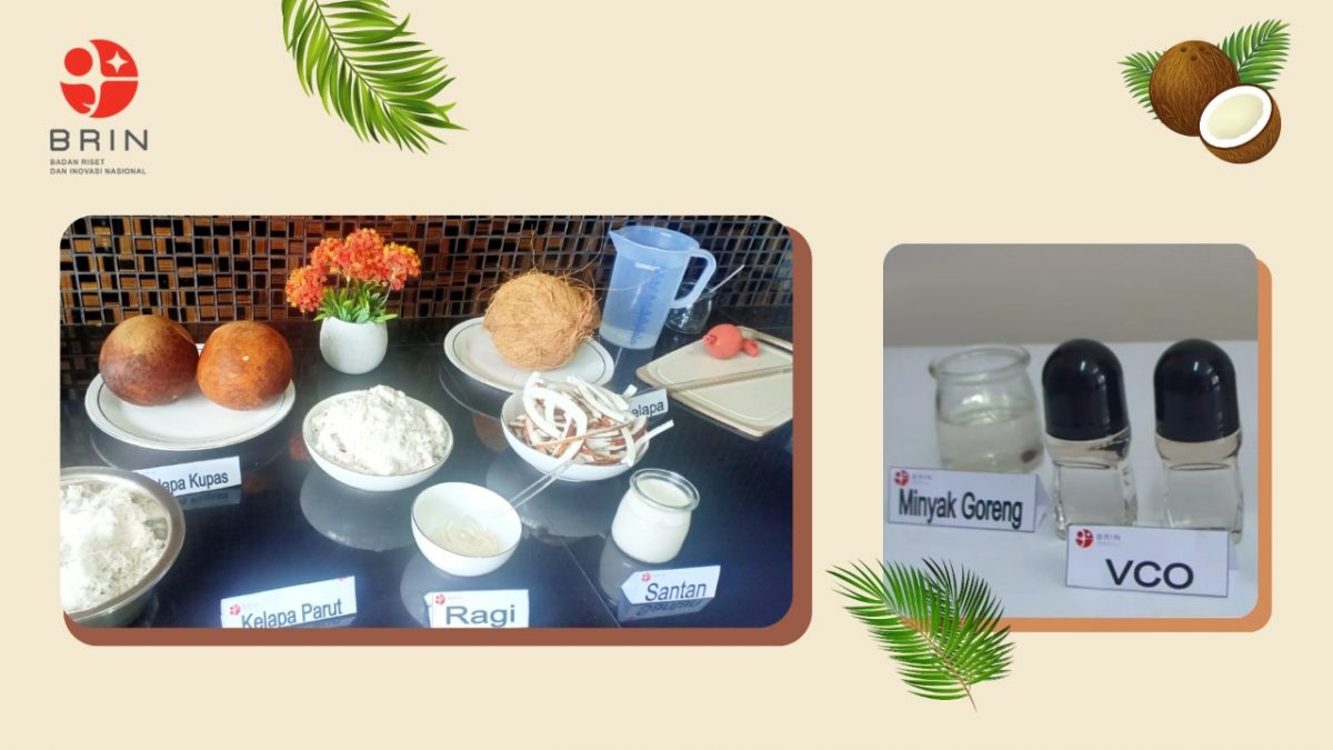Bikin Minyak Kelapa di Rumah, Lebih Sehat dan Bermanfaat!