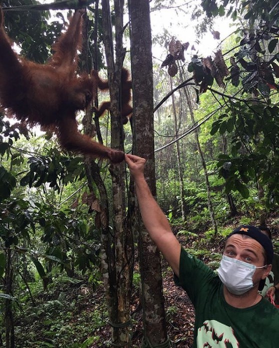 Leonardo DiCaprio, Kampanye Selamatkan Bumi dari Ancaman Pemanasan Global dan Perubahan Iklim