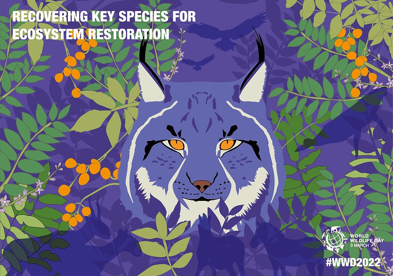 World Wildlife Day: Menjaga Satwa Liar, Memulihkan Ekosistem Kehidupan