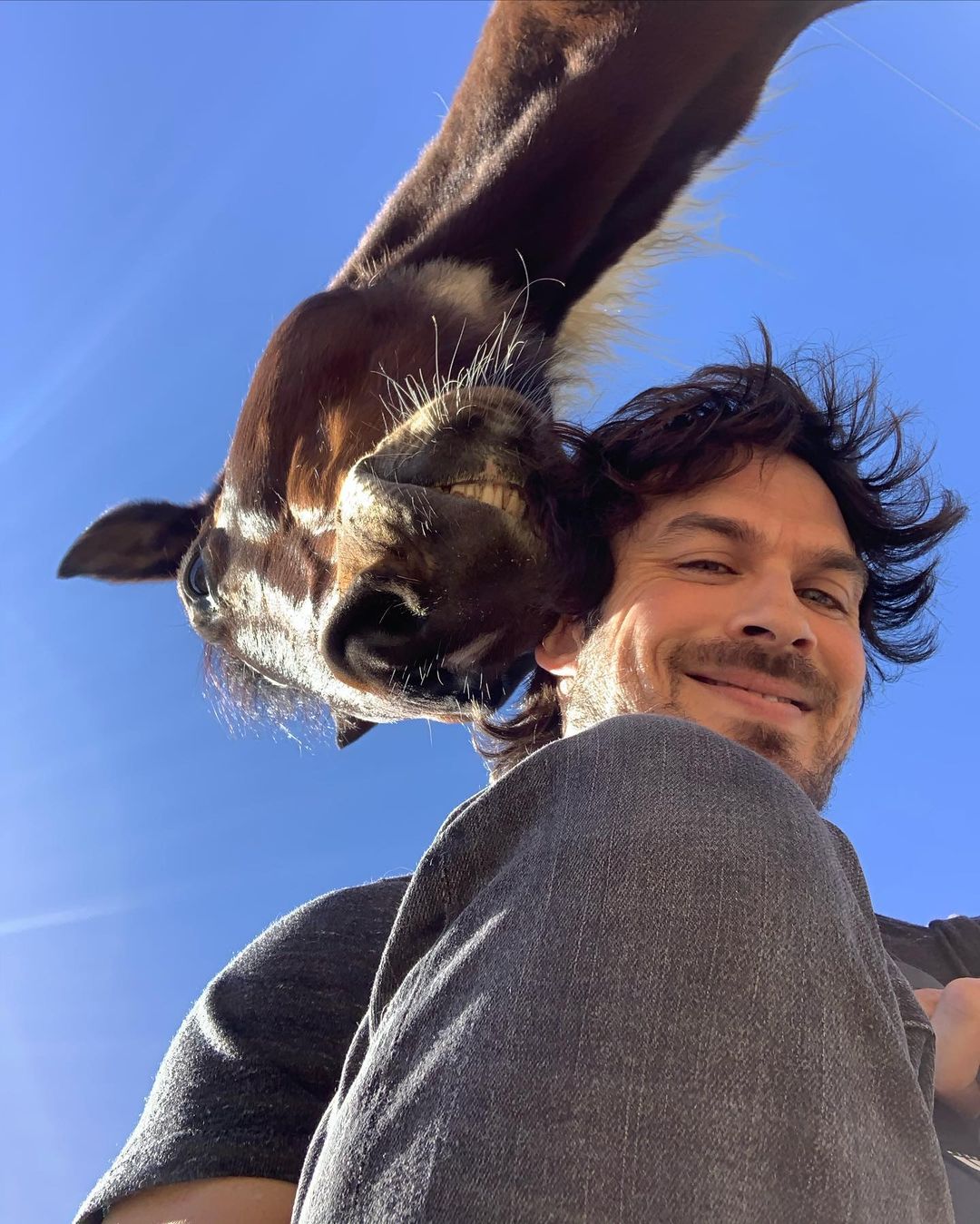 Ian Somerhalder, Aktor Hollywood, Aktivis Peduli Lingkungan dan Hewan