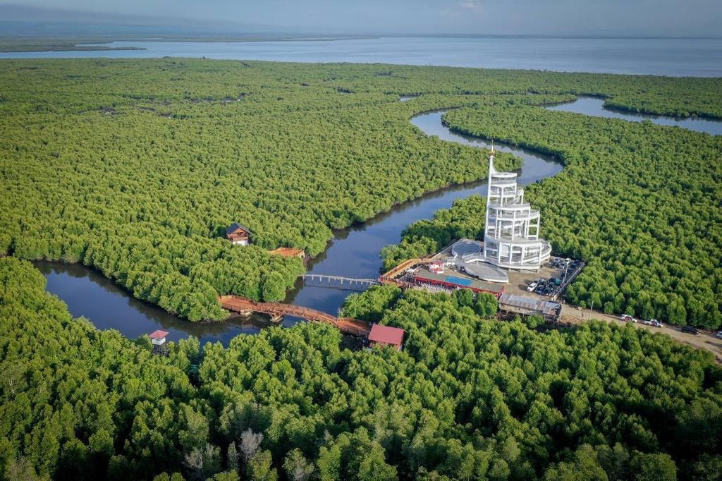 Tower Mangrove Langsa, Wisata Kelas Dunia Pemandangan Selat Malaka
