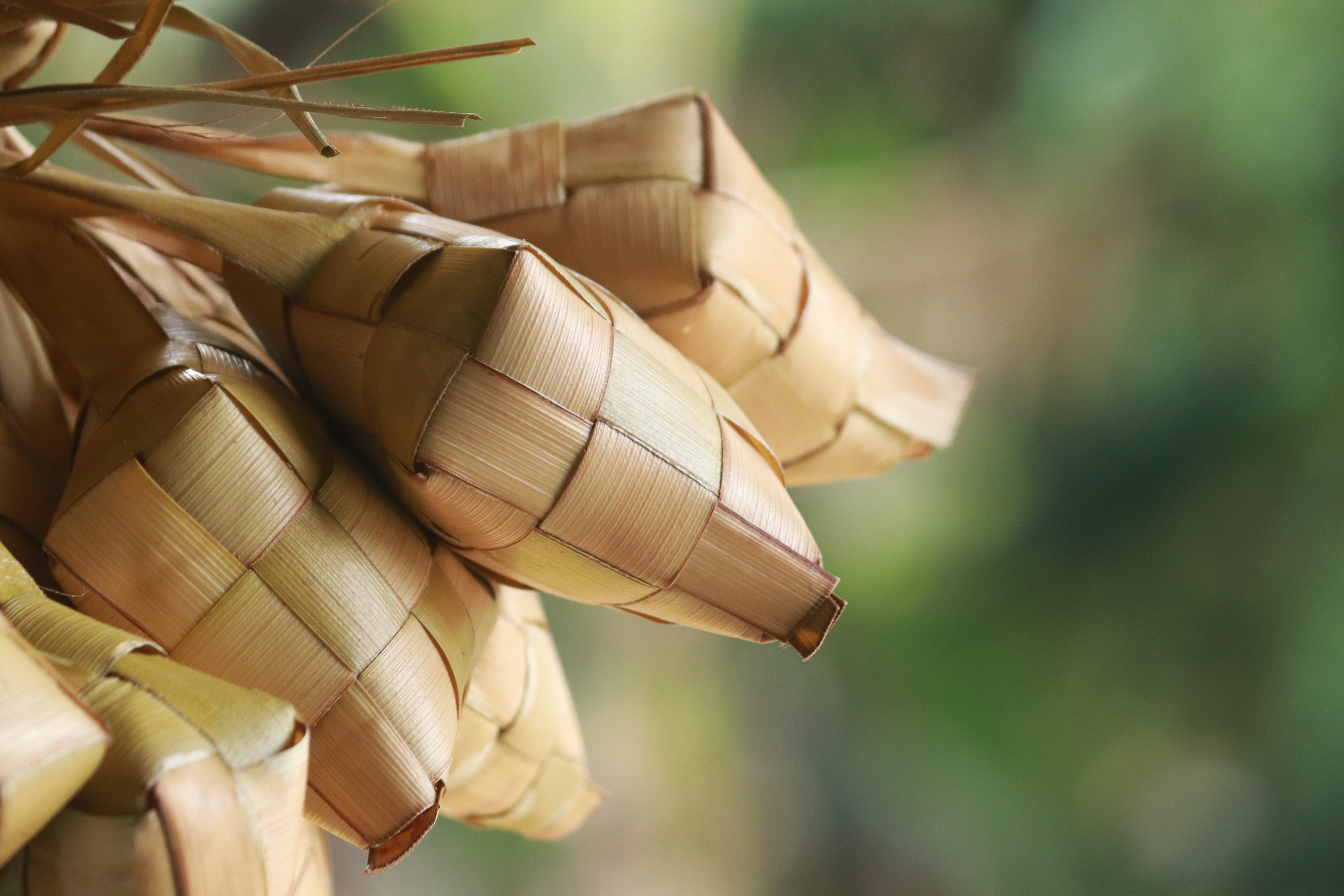 Tips Makan  Sehat Saat Lebaran