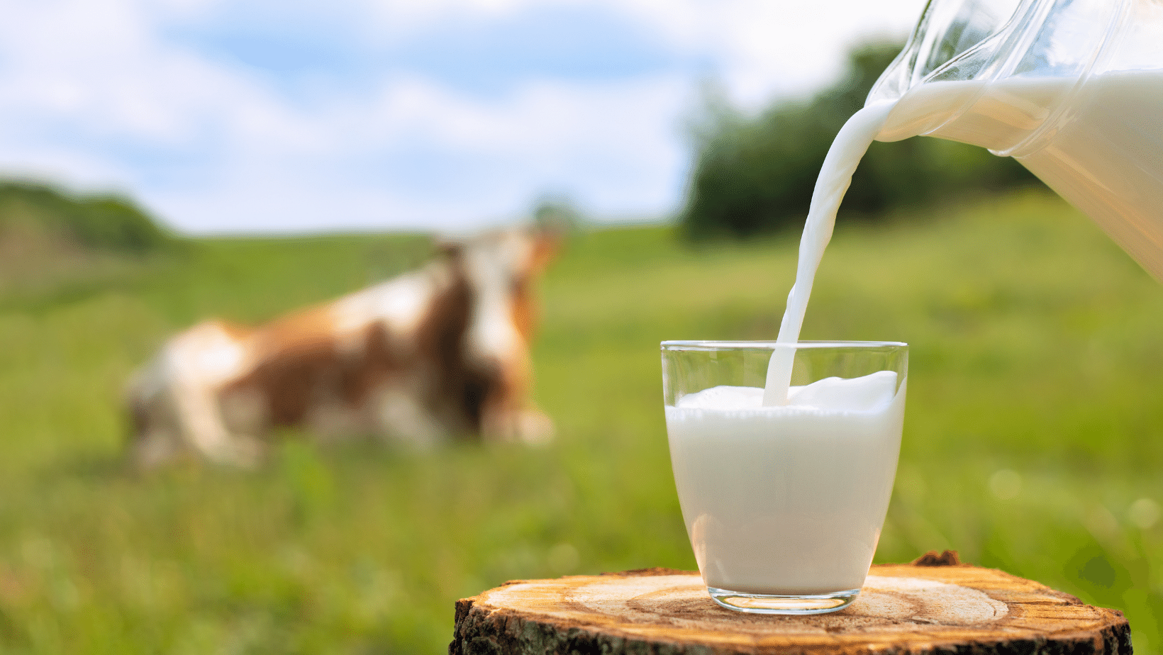 Manfaat Susu, untuk Kesehatan Jantung hingga Turunkan Berat Badan