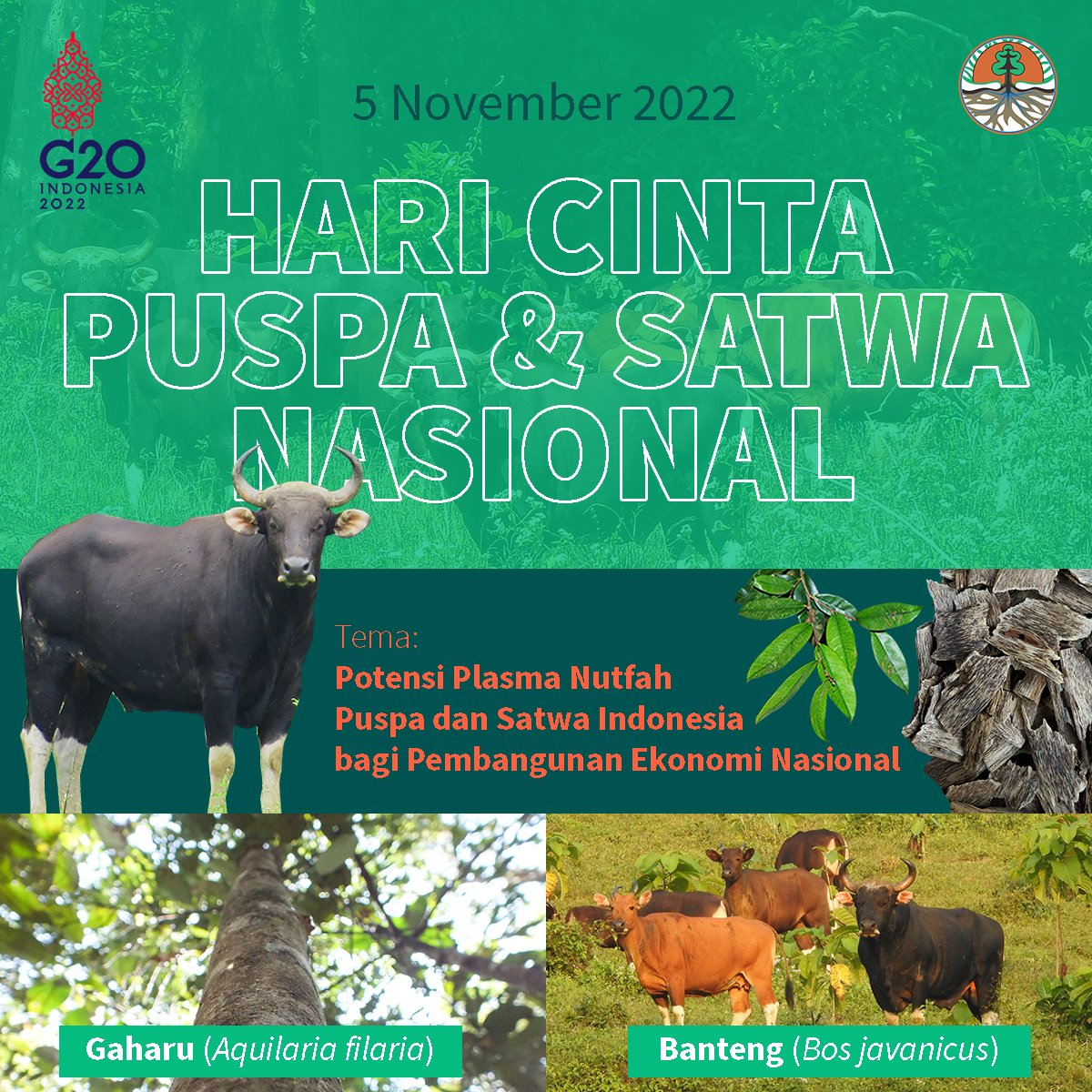 Hari Cinta Puspa dan Satwa Nasional Tingkatkan Kesadaran Menjaga Lingkungan Hidup