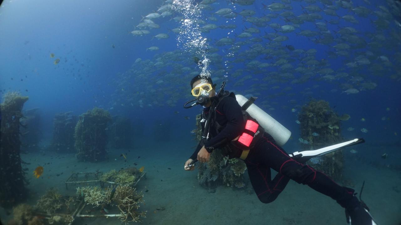 Keindahan Desa Wisata Bangsring, Wisata Konservasi Bawah Laut