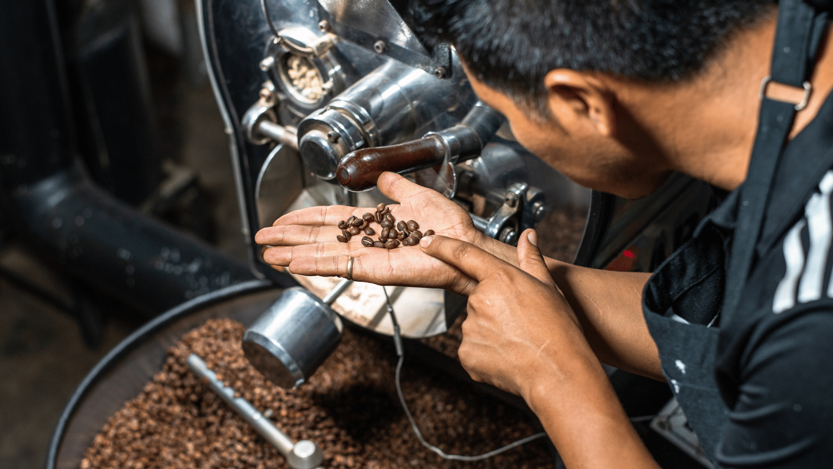 Bubuk Kopi Vs Biji Kopi, Mana yang Harus Dipilih?