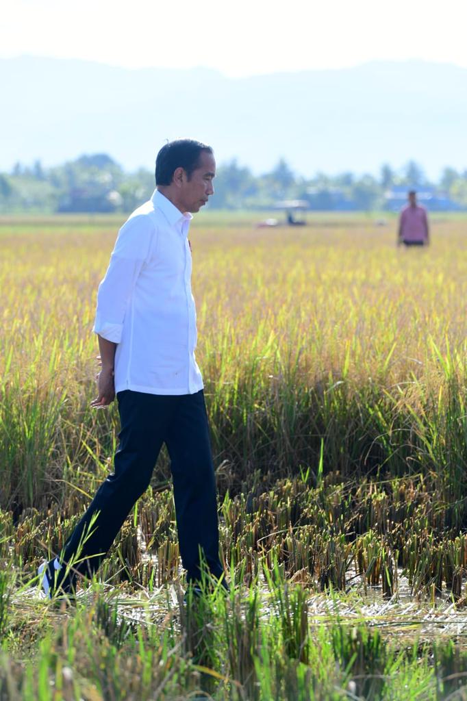 Jokowi Setelah Piala Dunia U-20 2023 Batal di Indonesia: Jadikan Pembelajaran